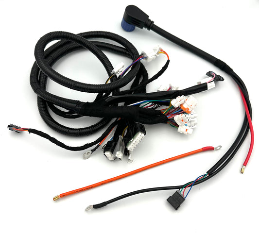 Kabelbaum (Kit)
